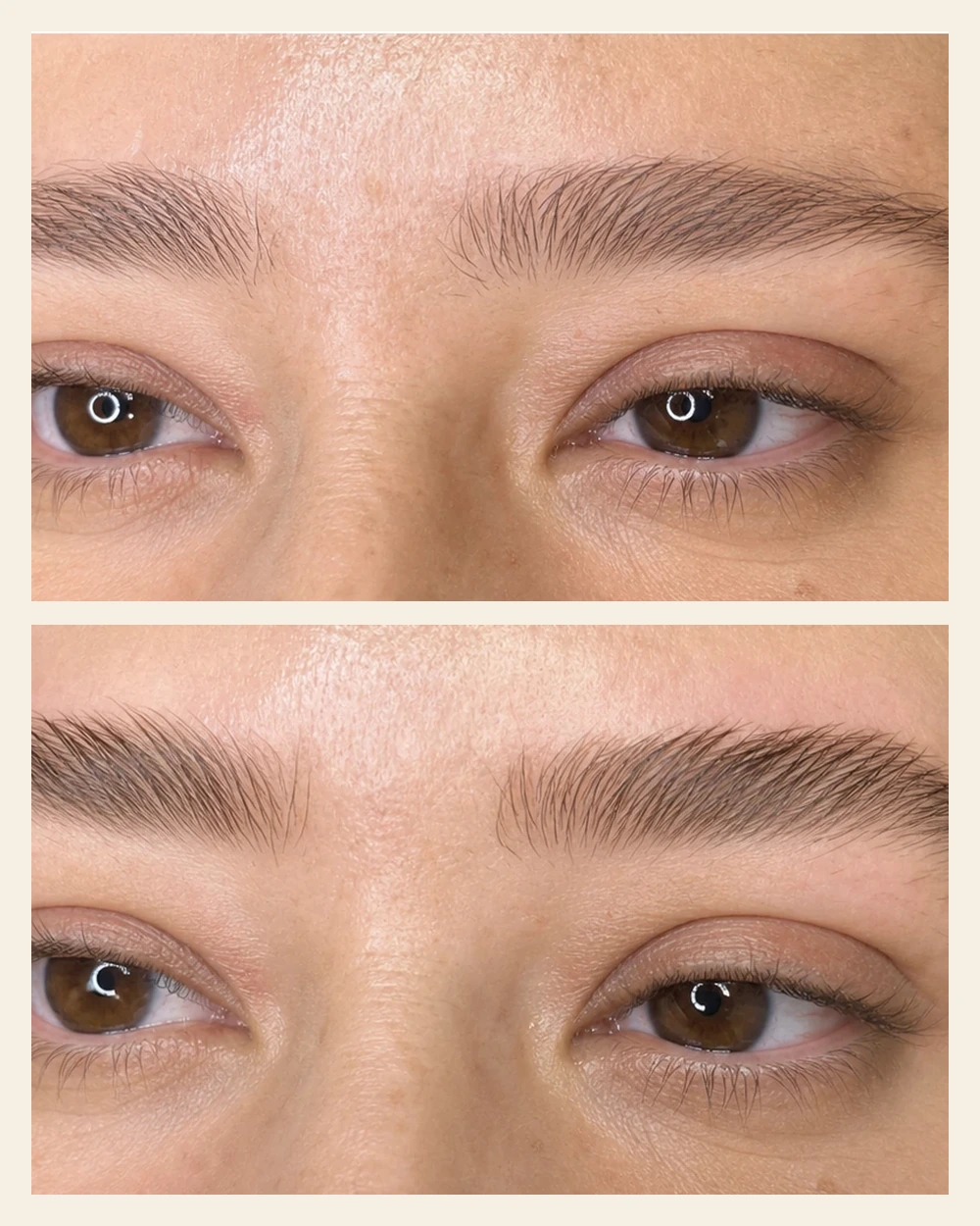 Avant après sourcils avec évolution visible après plusieurs séances.